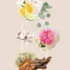 Flower Breeze
